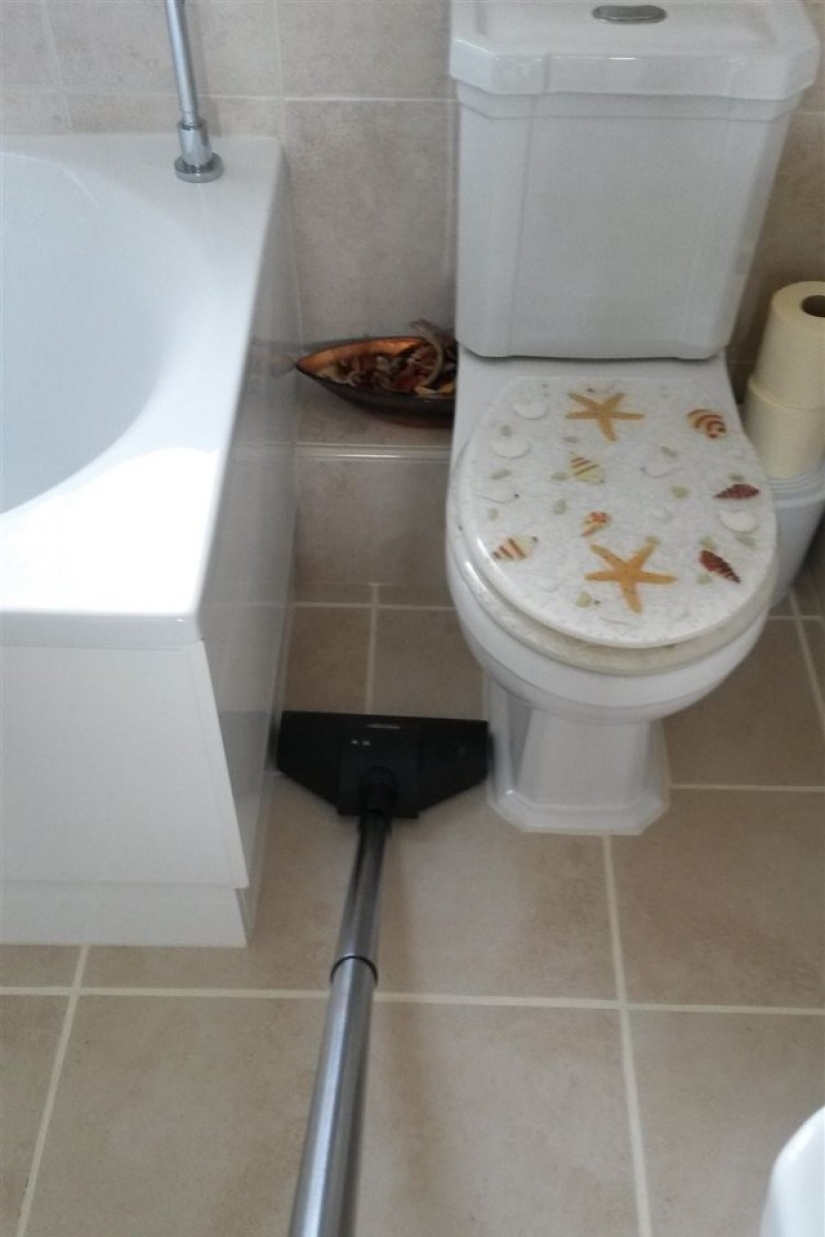 There is perfection in the world: 20 photographic delights for the eyes of the perfectionist