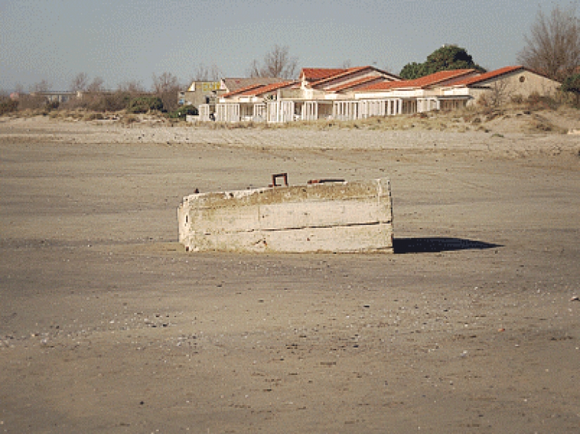 These 19 photos confirm how amazing our world is