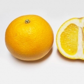 Top 10 de los cítricos que, probablemente, no lo he probado