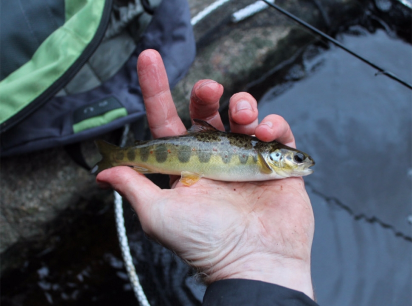 Top 20 favorite Hobbies and Hobbies of the richest people Top 20 favorite Hobbies and Hobbies of the richest people