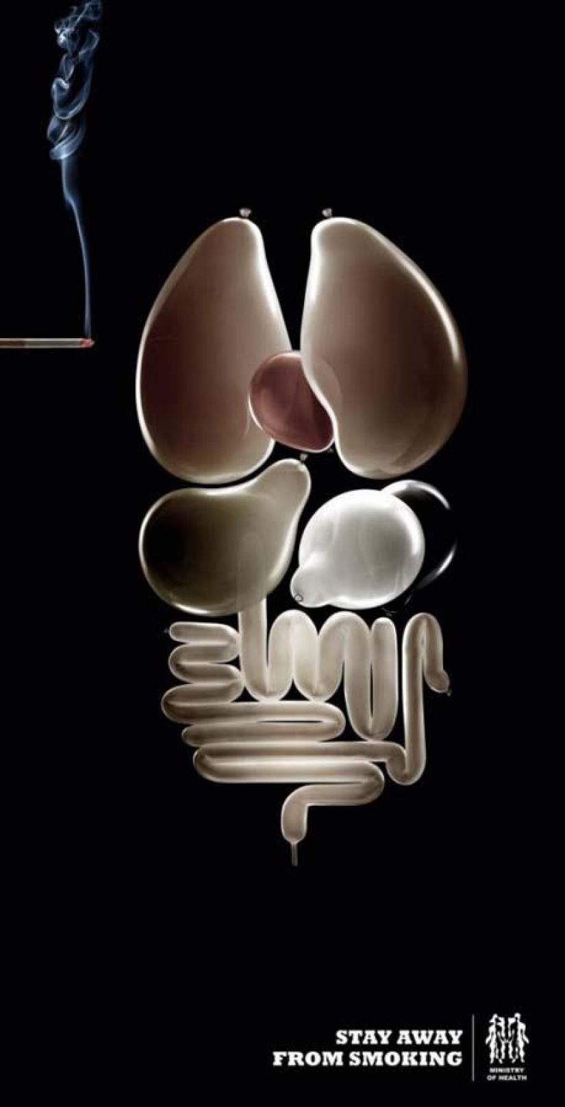 Top 30 posters about the dangers of Smoking Top 30 posters about the dangers of Smoking