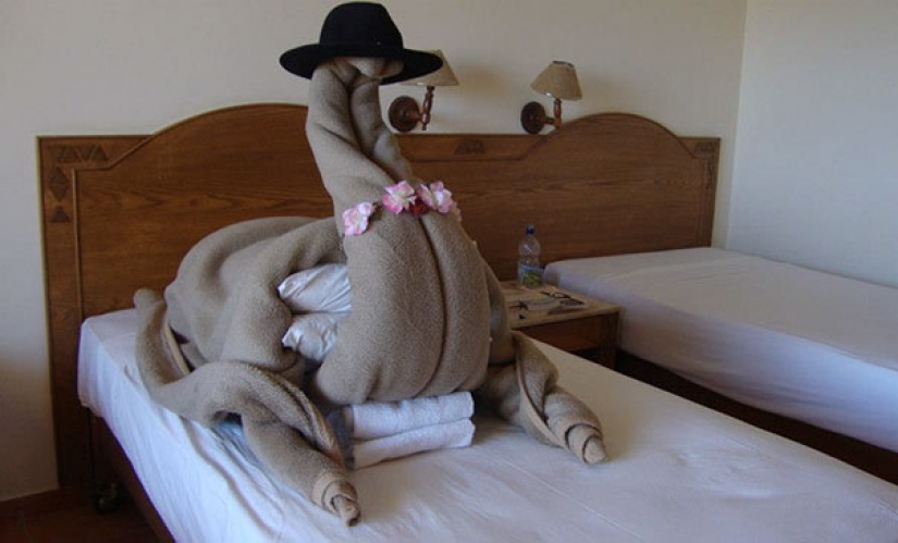 Tourists trolls were sent to the hotels of strange requests... and they did!