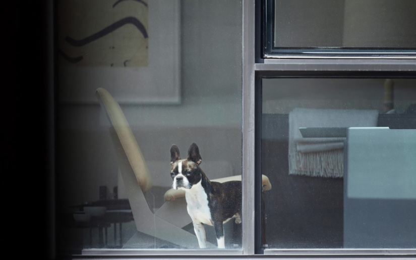 Un fotógrafo en secreto la observación de sus compañeros de casa, y los elimina Un fotógrafo en secreto la observación de sus compañeros de casa, y los elimina