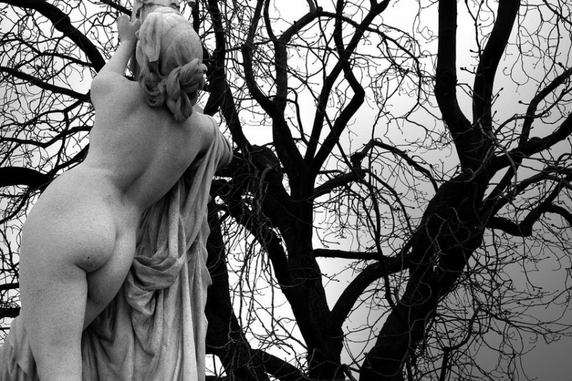 Un hombre común ve una piedra. El artista se oye la música Un hombre común ve una piedra. El artista se oye la música