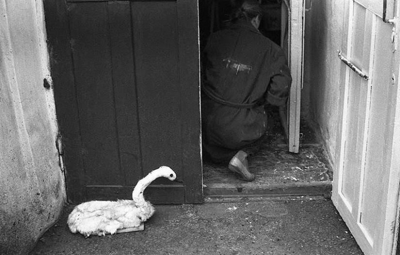 Un perdido "edad de Oro": 44 documental fotos por Vladimir Sokolaev