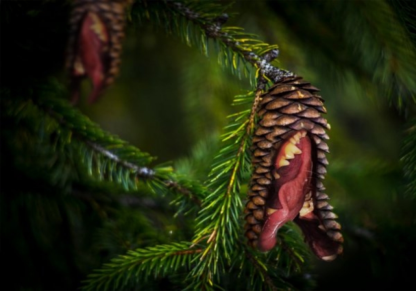 Un perro con un nudo en la boca se convirtió en el héroe de los "memes" y fotozhab