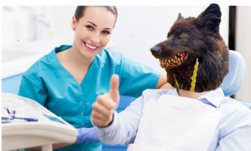 Un perro con un nudo en la boca se convirtió en el héroe de los "memes" y fotozhab