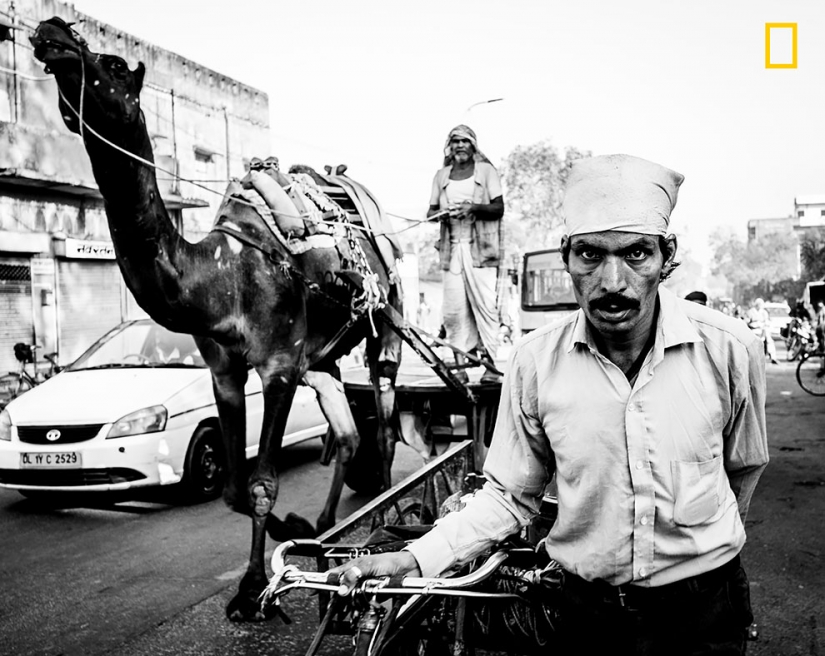 Una orgullosos de mujeres Cubanas y feliz monjes Tibetanos, en el National Geographic photo contest: la Gente