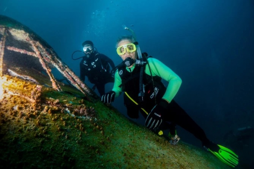 Under a plane wing about something sings the green sea in Bahrain opened underwater Park inside the "Boeing" Under a plane wing about something sings the green sea in Bahrain opened underwater Park inside the "Boeing"