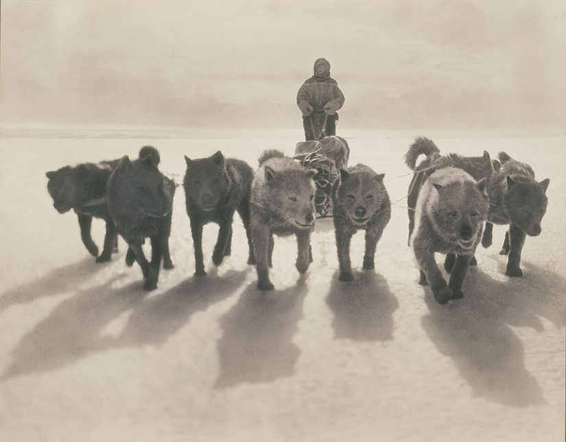 Unique photos from the first Australian Antarctic expedition 1911-1914 years