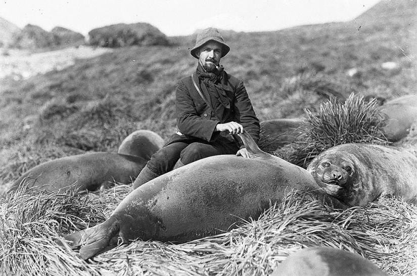 Unique photos from the first Australian Antarctic expedition 1911-1914 years
