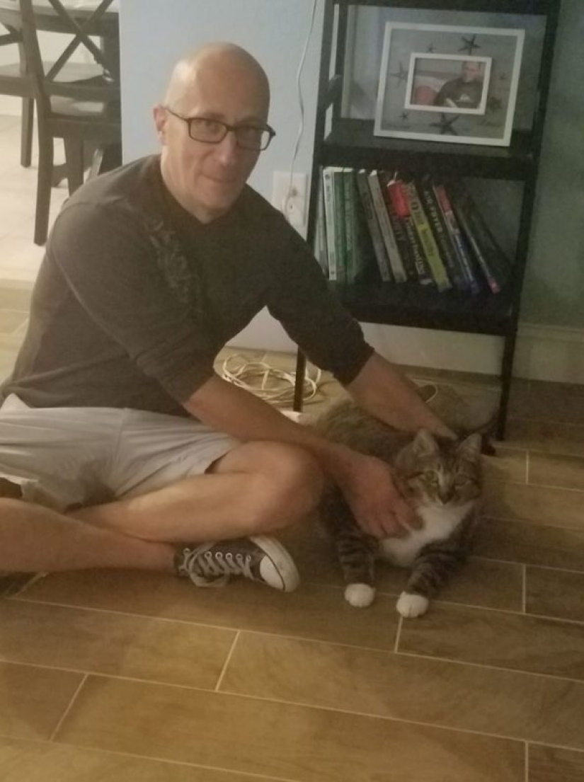 Very fat cat Donut found a new family after the hostess handed him to the shelter