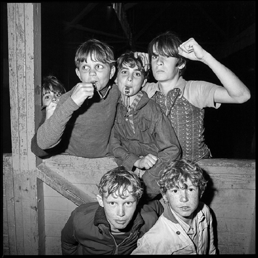 Viejo loco imágenes de los Adolescentes de la Florida