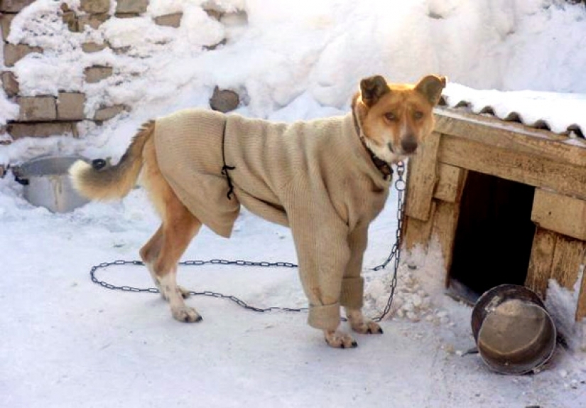 View from abroad: 20 things in Russia that foreigners seem so very strange