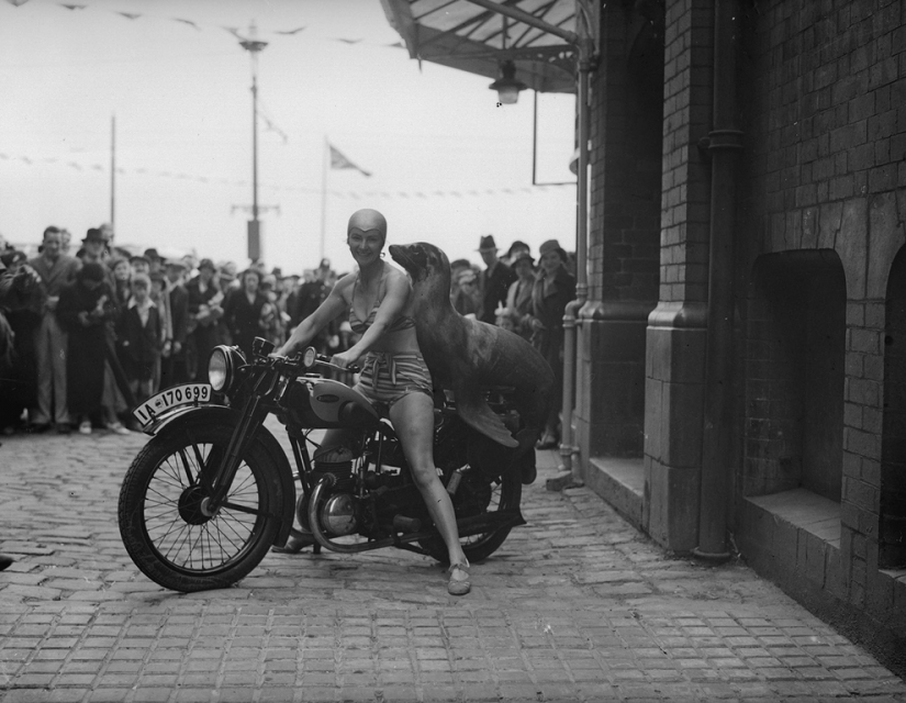 Vintage foto de chicas interesantes en las motocicletas