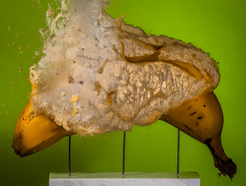 Volar... el cerebro!