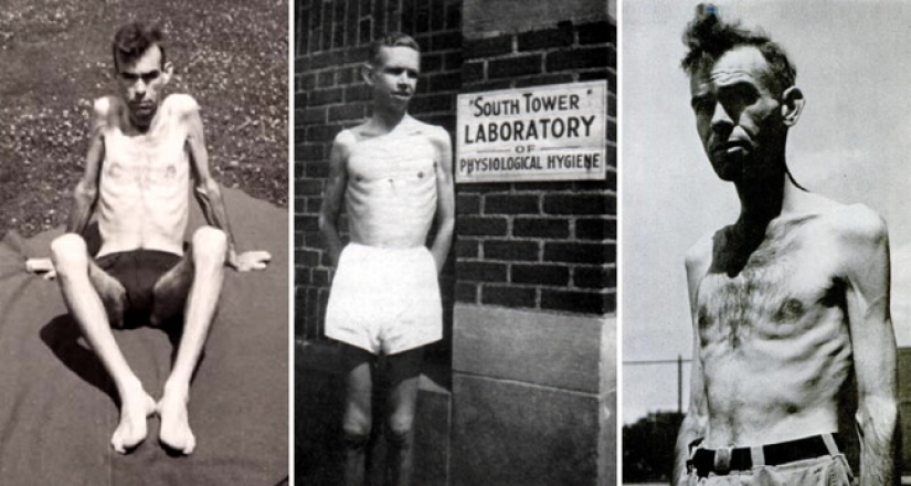 Voluntary fasting: what ended the Minnesota experiment, 1944