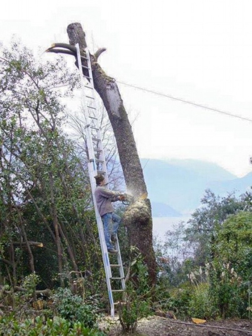 Watch the idiots at work, or How are they still alive?