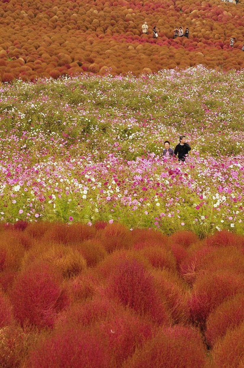 We are looking to see We are looking to see