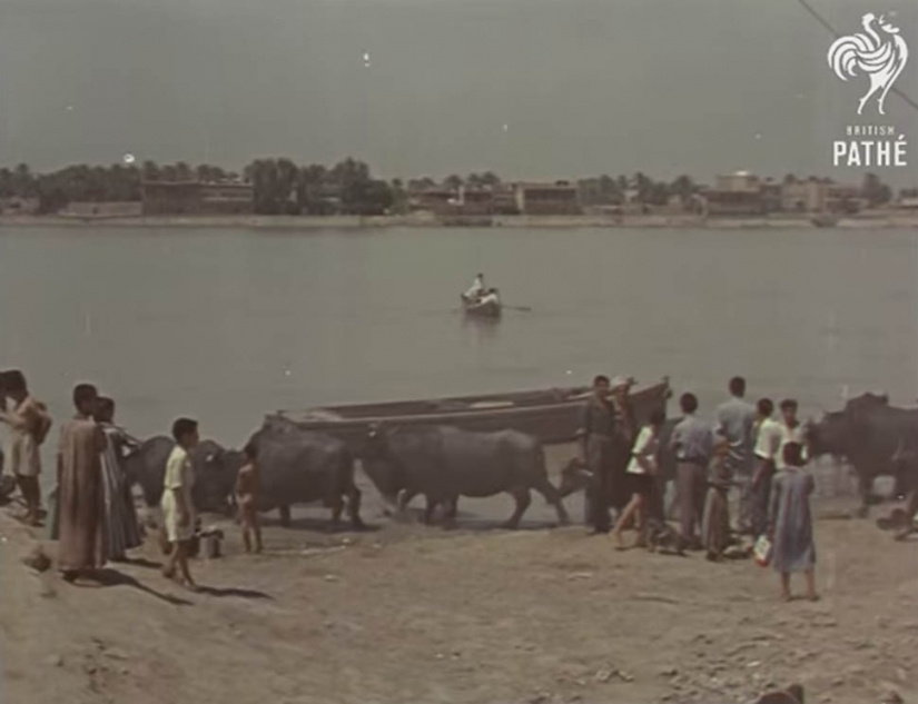 What was Iraq before the war and sanctions What was Iraq before the war and sanctions