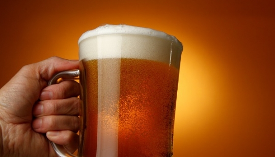 What will be useful to beer-yogurt, which is created by the Petersburg scientists