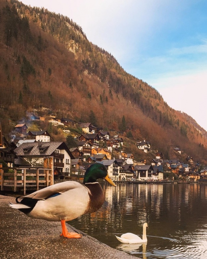 When a photographer goes on vacation