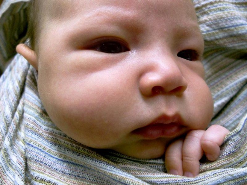 "When Lulu was born, my wife Carla disappeared": how to develop paternal feelings