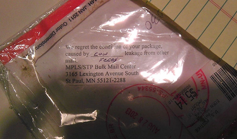 When the postman — not Pechkin: epic failures of service delivery