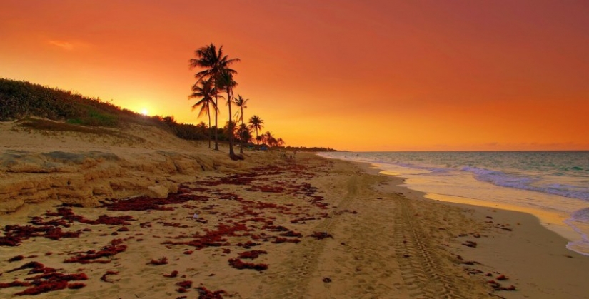 When you really want to Cuba