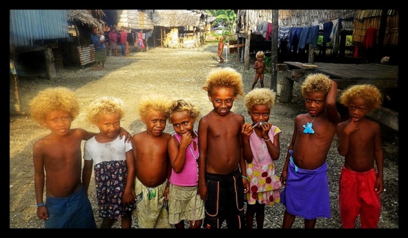 Where in Melanesia come from dark-skinned people with blond hair