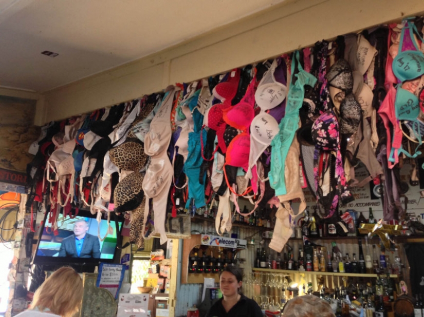 Who are the gray Wanderers of Australia