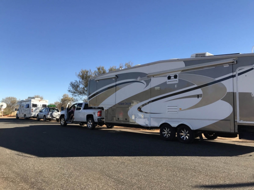 Who are the gray Wanderers of Australia