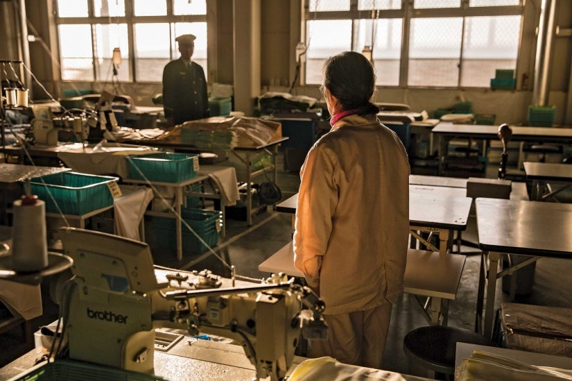 Why elderly people in Japan deliberately commit petty crimes and want to go to jail