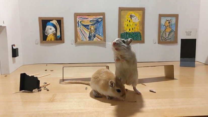 Why in London he opened a tiny art gallery for mice-gerbils