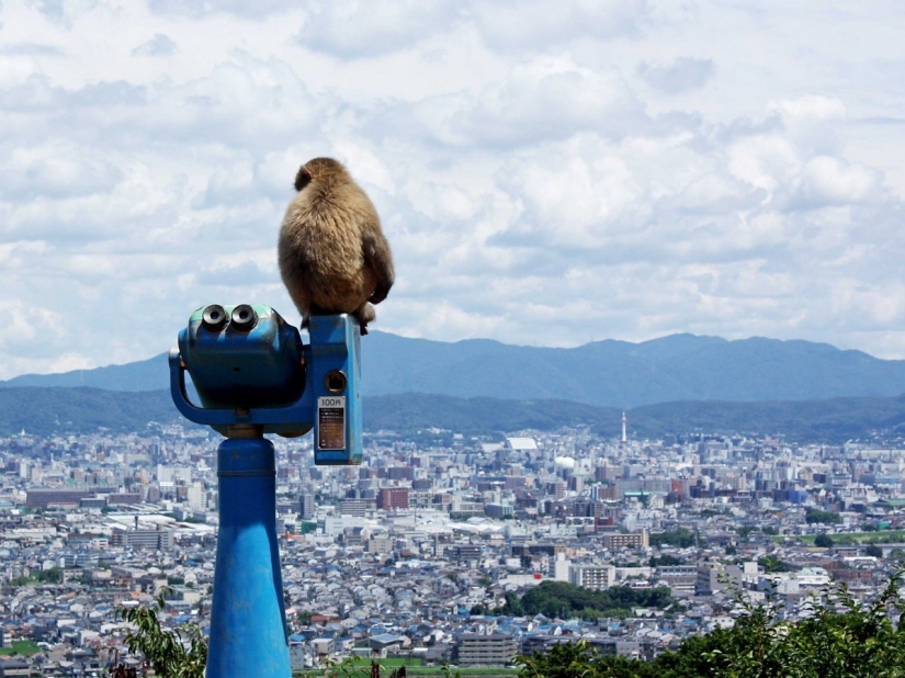 Why Kyoto was chosen the best city in the world: 23 photoproofs