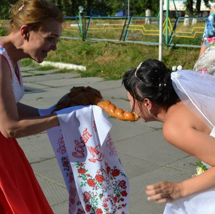 Wildest thrash in the darkness of revelry: "best" wedding photos from Russia