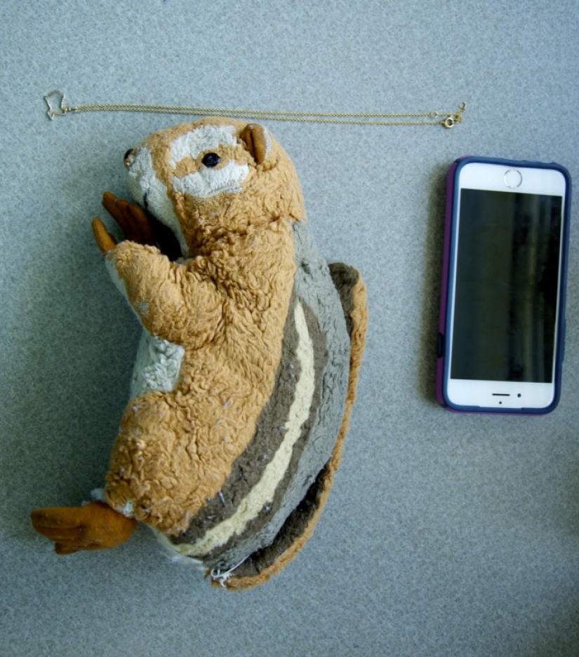 You have 3 seconds to answer: what did you take away from a burning house? You have 3 seconds to answer: what did you take away from a burning house?