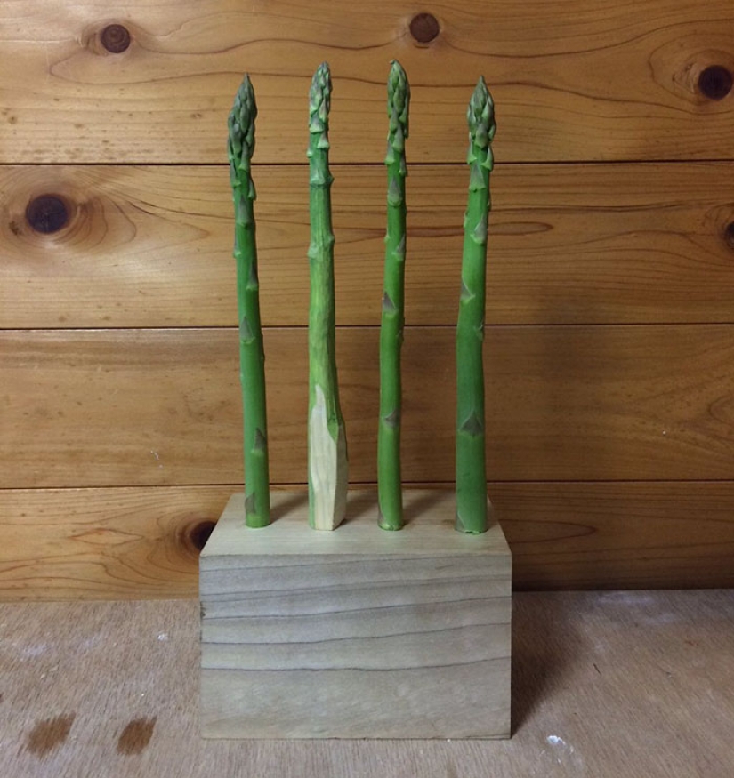 You'll never guess what made these products