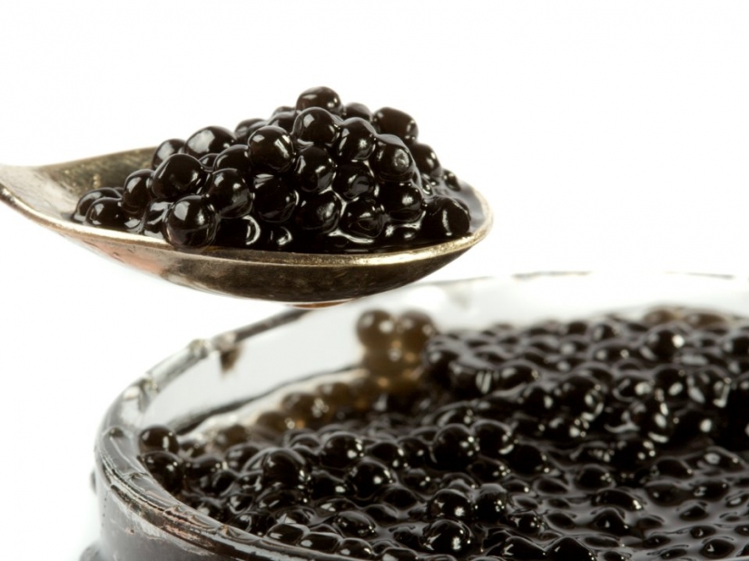 10 alimentos que están prohibidos en todo el mundo 10 alimentos que están prohibidos en todo el mundo