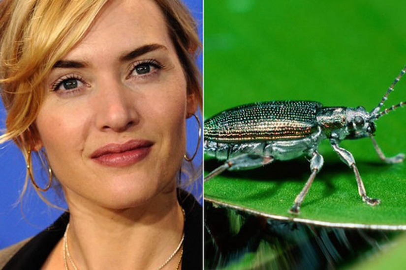 10 animal species named after celebrities