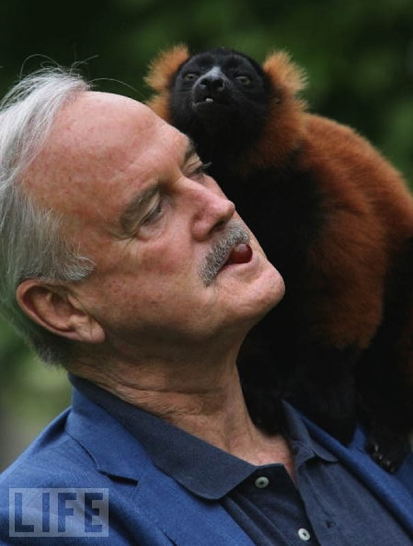 10 animal species named after celebrities