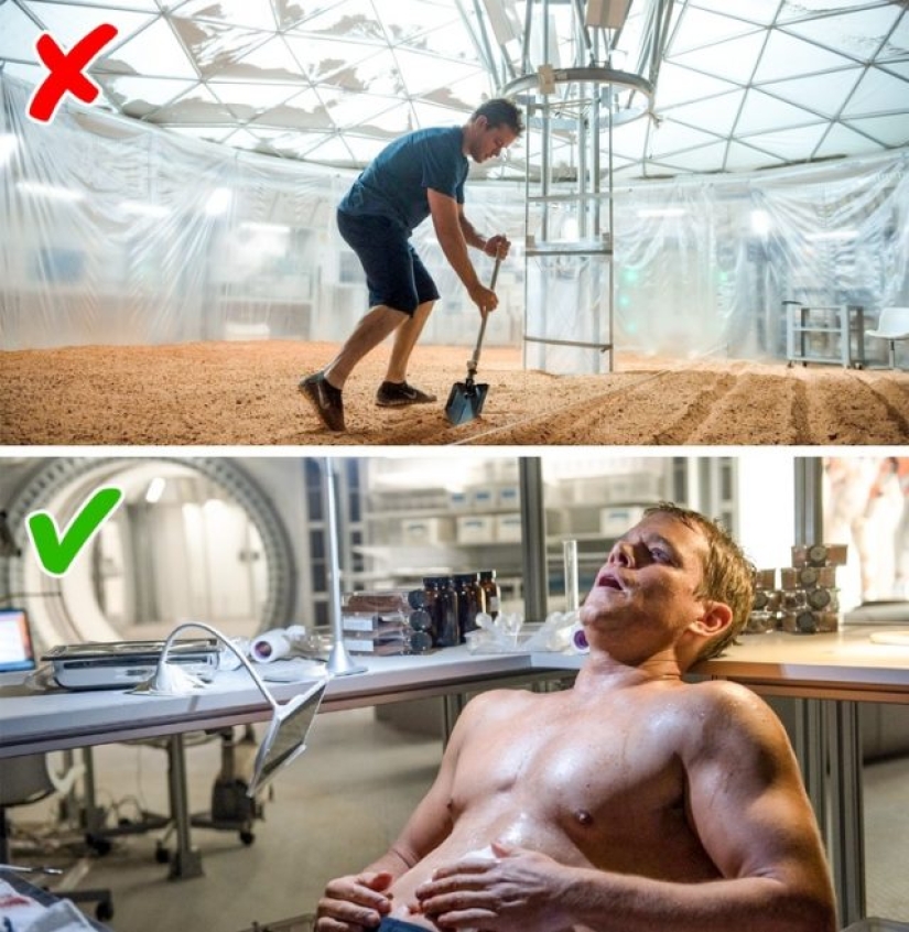 10 answers to strange questions