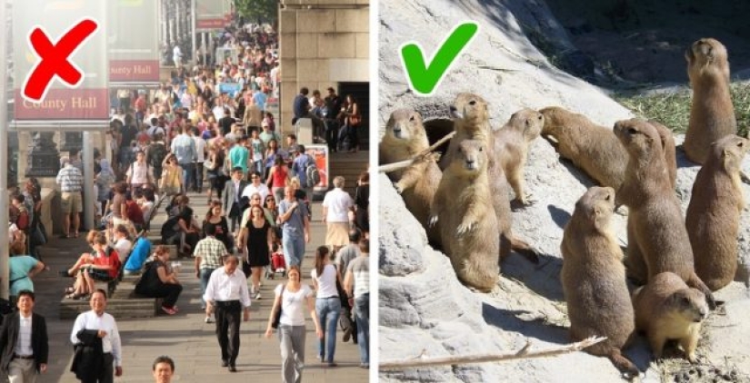 10 answers to strange questions