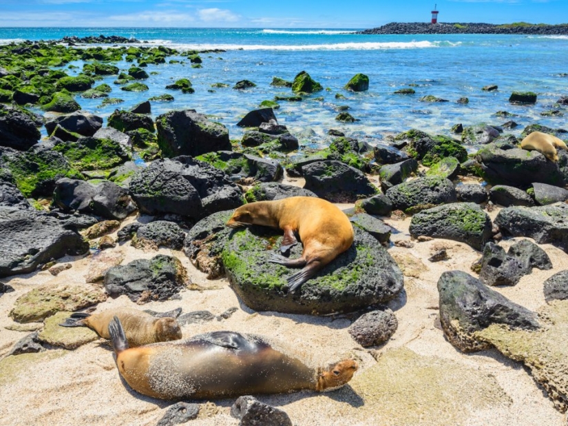 10 asombrosas maravillas naturales que todo el mundo debería ver en su vida