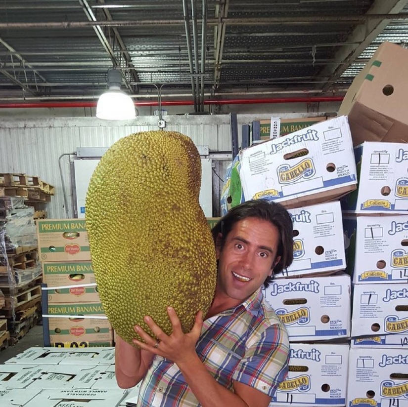 10 atletas famosos y sus dietas locas