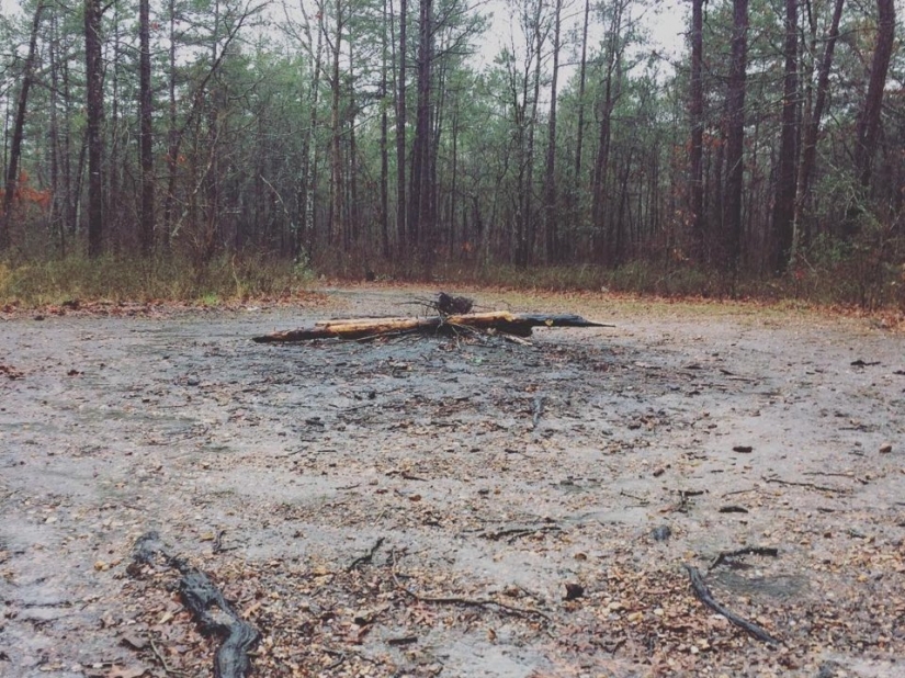 10 bosques más aterradores del mundo 10 bosques más aterradores del mundo