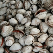 10 deadliest foods and dishes to avoid