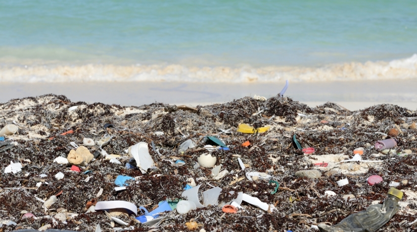 10 divertidos cursos de formación, cuya existencia es difícil de creer