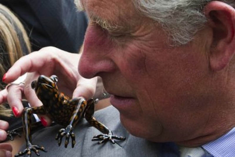 10 especies de animales con nombres de celebridades