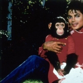 10 extraños animales famosos